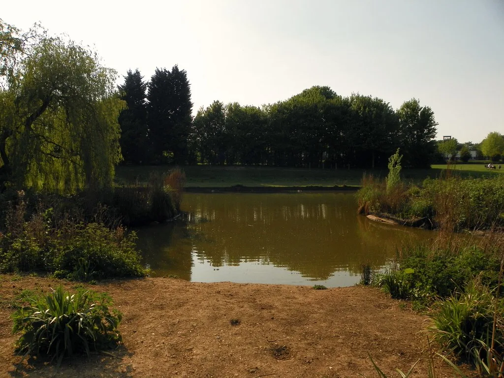 One of the four lakes at Fairlands Valley Park